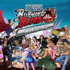 One Piece Burning Blood - WANTED PACK