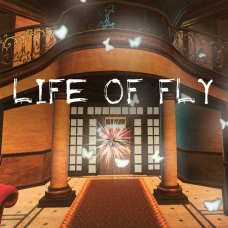 Life of Fly