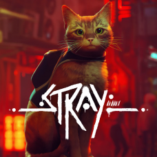 Stray