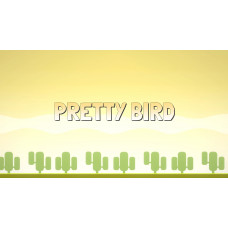 Pretty Bird