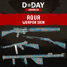 D-Day Enhanced - Aqua Weapon Skin