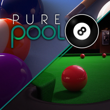 Pure Pool Snooker Bundle