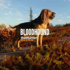 theHunter: Call of the Wild™ - Bloodhound