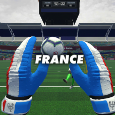 France Gloves (CleanSheet Football)