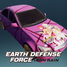 EDFIR - Item: Wrapping Car