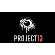 Project 13