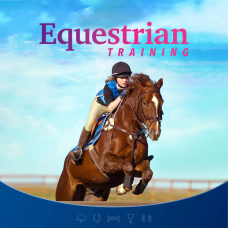 Equestrian Training