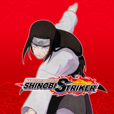 NTBSS: Master Character Training Pack - Neji Hyuga