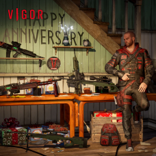 Vigor -  Year "V" Pack