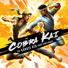 Cobra Kai: The Karate Kid Saga Continues