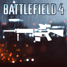 Battlefield 4™ DMR Shortcut Kit