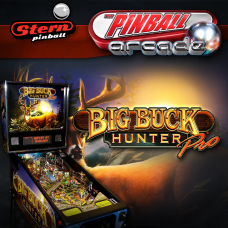 Big Buck Hunter Pro®