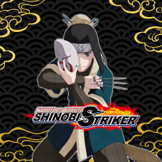 NTBSS: Master Character Training Pack - Haku