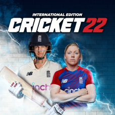 Cricket 22