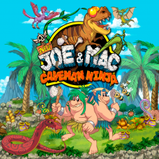 NEW Joe & Mac - Caveman Ninja