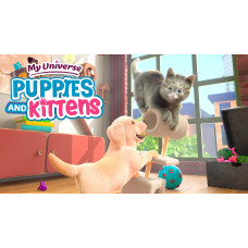 My Universe - Puppies & Kittens