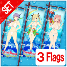 DOAX 3 Flag Set