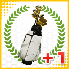 Everybody’s Golf Custom Club Set 1