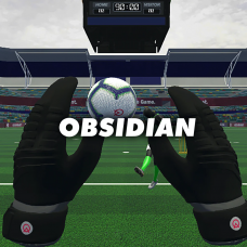 Obsidian Gloves (CleanSheet Football)