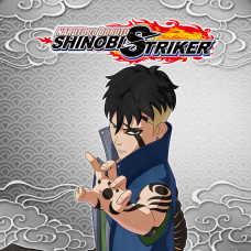 NTBSS: Master Character Training Pack - Kawaki