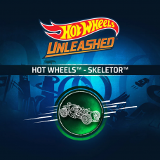 HOT WHEELS™ - Skeletor™