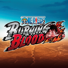 One Piece Burning Blood - CUSTOMIZATION PACK