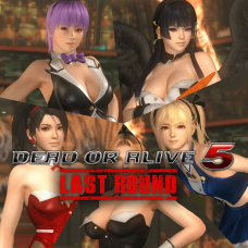 DOA5LR Sexy Bunny Costume Set