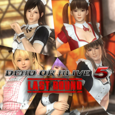 DOA5LR Maid Costume Set